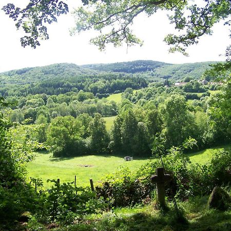 Petite Ferme D'Autrefois Villa Saint-Georges-Nigremont Eksteriør bilde